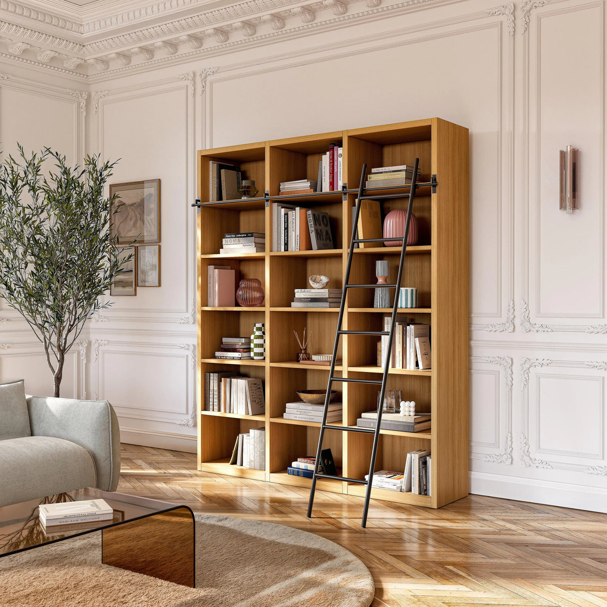 CAMUS - Oak Bookcase with Ladder