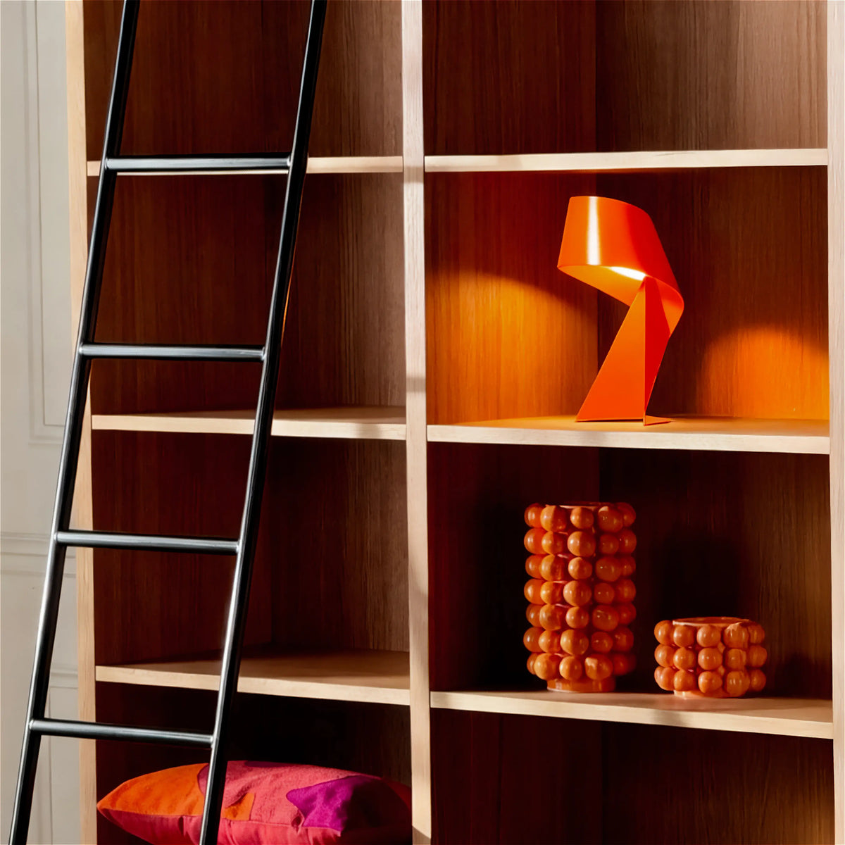 CAMUS - Oak Bookcase with Ladder