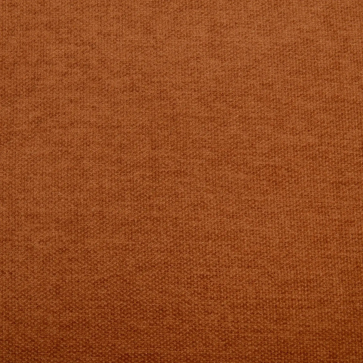 LEIA  - Swatches