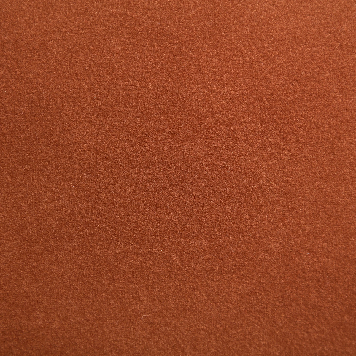 BRAGA - Swatch