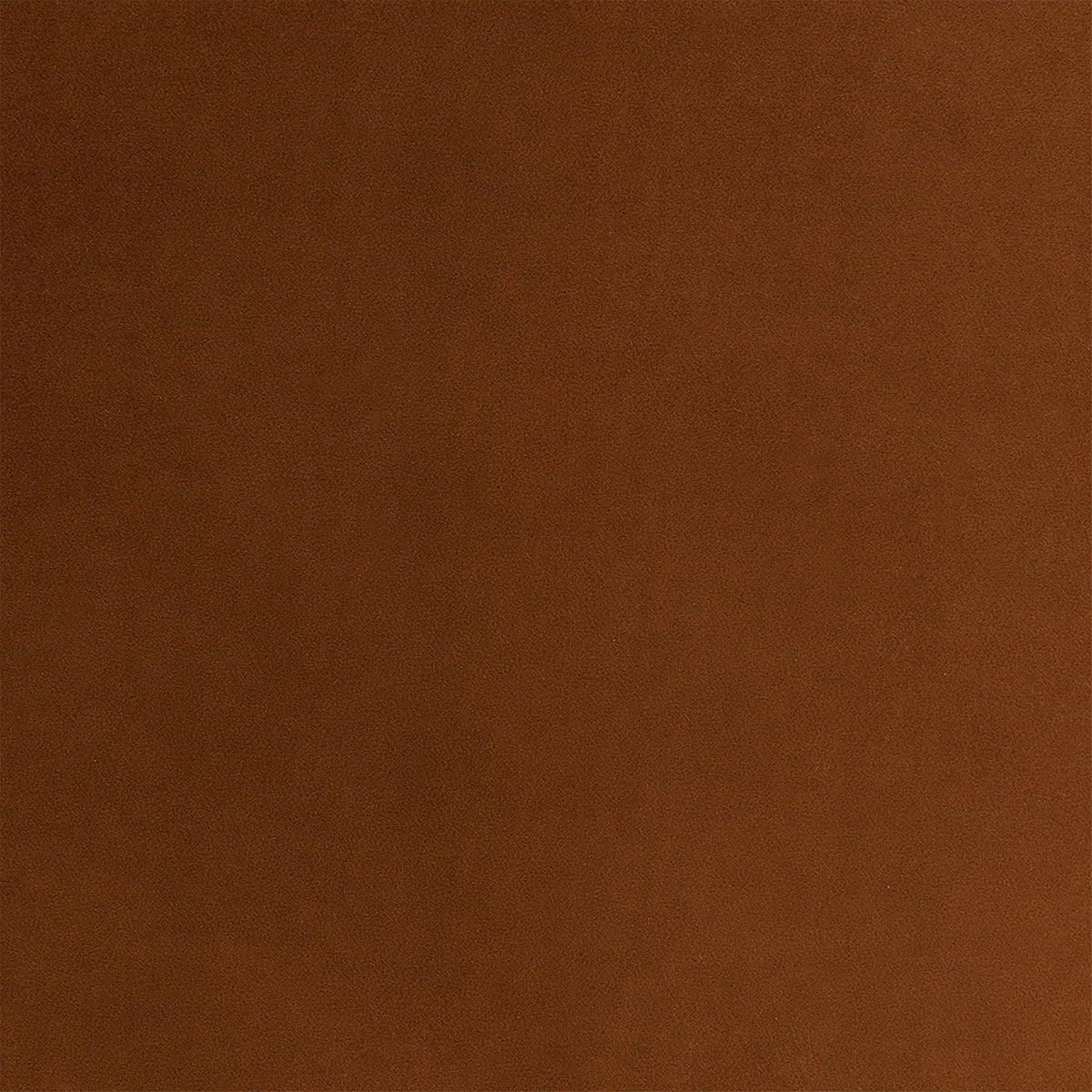 KALMIA  - Swatches