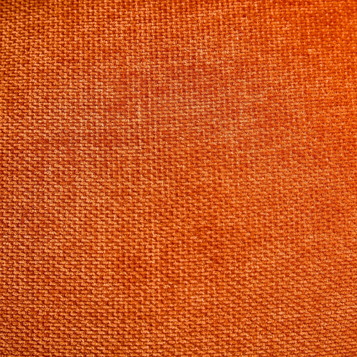 MOGLIANO  - Swatches